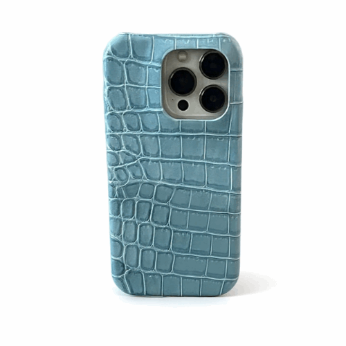 Tiffany Alligator Case